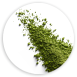 Měďnatý komplex chlorofylinu